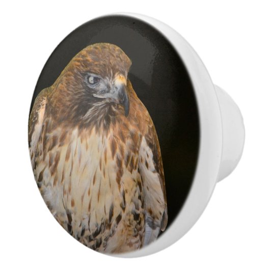 Hawk Keramikknauf (Rechts)