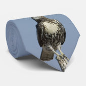Hawk Krawatte (Gerollt)