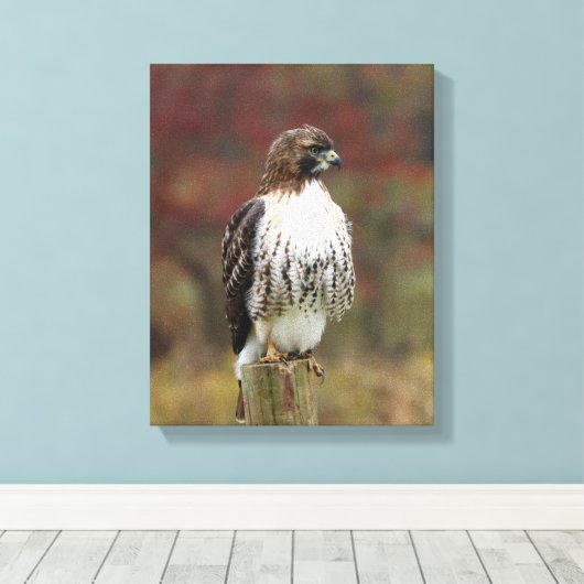 Hawk Leinwand (Insitu (Holzboden))