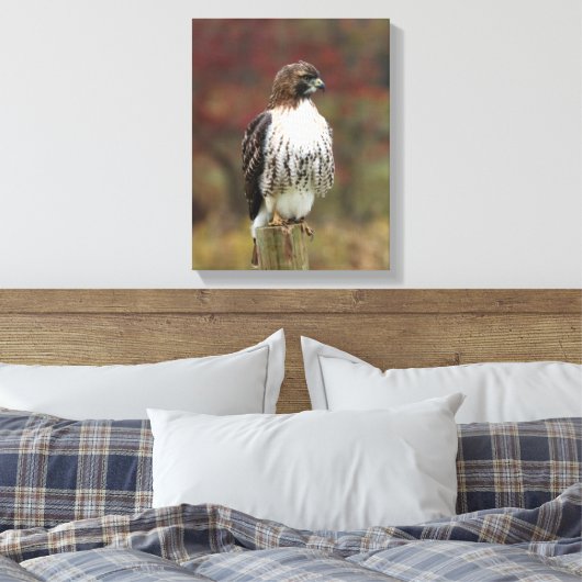 Hawk Leinwand (Insitu (Schlafzimmer))