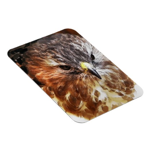 HAWK MAGNET (Rechte Seite)