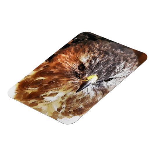 HAWK MAGNET (Linke Seite)