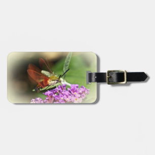 Hawk Moth löschen - Hemaris thysbe Gepäckanhänger