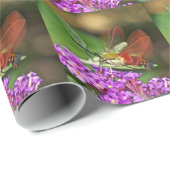 Hawk Moth löschen - Hemaris thysbe Geschenkpapier (Rolleneckpunkt)