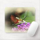 Hawk Moth löschen - Hemaris thysbe Mousepad (Mit Mouse)