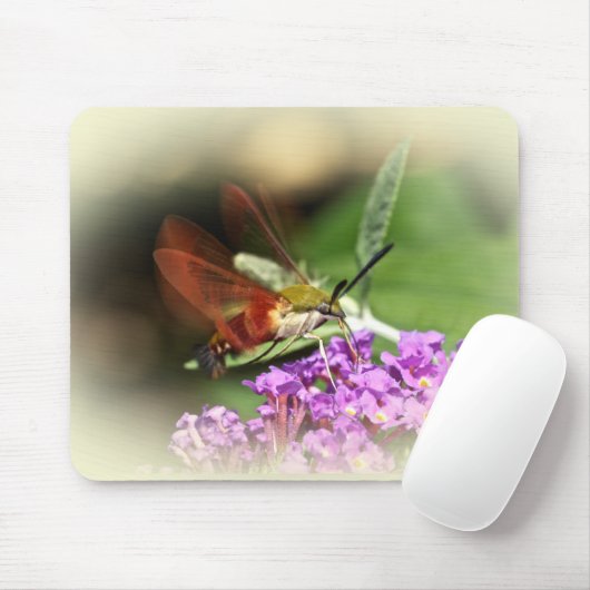 Hawk Moth löschen - Hemaris thysbe Mousepad (Mit Mouse)