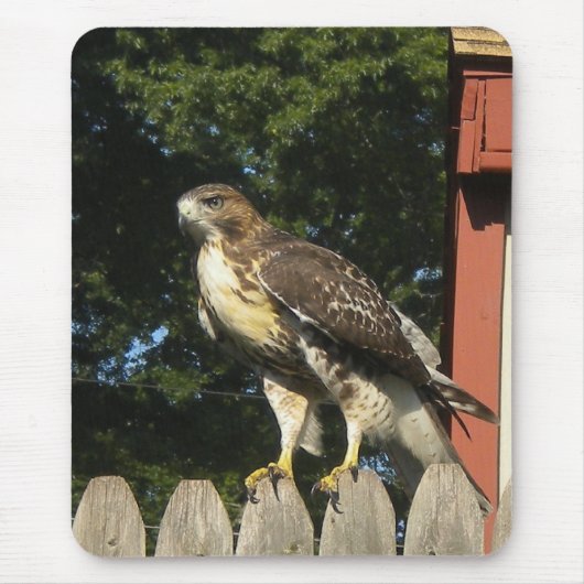Hawk Mousepad (Vorne)