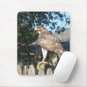 Hawk Mousepad (Mit Mouse)