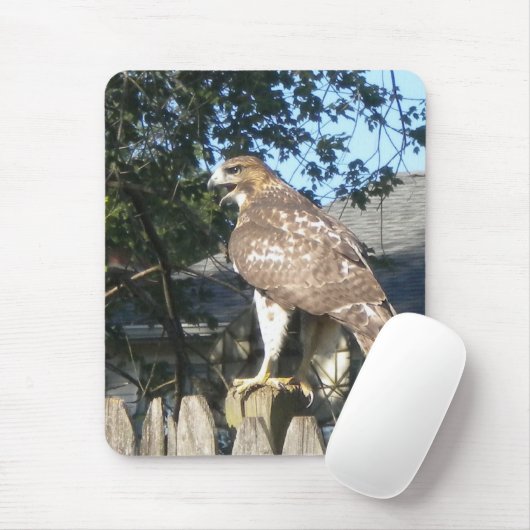 Hawk Mousepad (Mit Mouse)