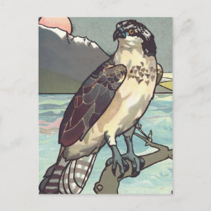 Hawk nach Zahlen malen Postkarte