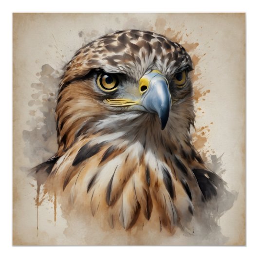 Hawk no 1 Glossy Poster (Vorderseite)