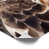 Hawk no 3 Glossy Poster (Ecke)