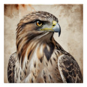 Hawk no 4 Glossy Poster (Vorderseite)