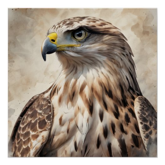 Hawk no 6 Glossy Poster (Vorderseite)