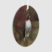 Hawk-Ornament Ornament (Vorderseite)