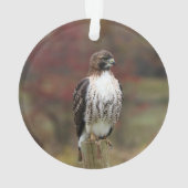 Hawk-Ornament Ornament (Rückseite)
