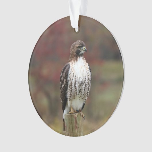 Hawk-Ornament Ornament (Vorderseite)