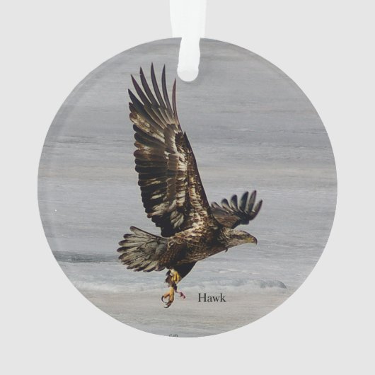 Hawk-Ornament Ornament (Rückseite)