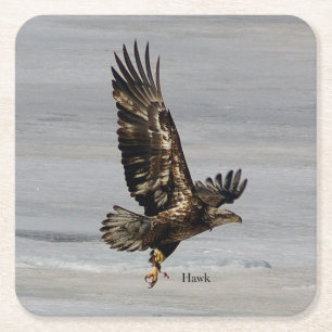 Hawk Paper Untersetzer