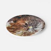 HAWK PAPPTELLER (Schrägansicht)