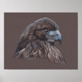 Hawk Poster (Vorne)