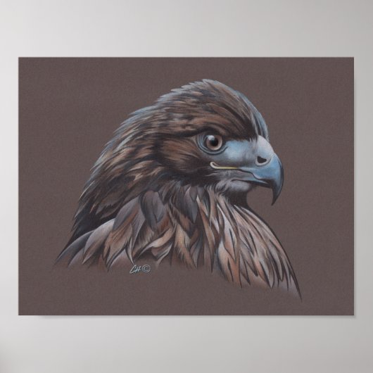 Hawk Poster (Vorne)