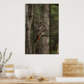Hawk Poster (Küche)