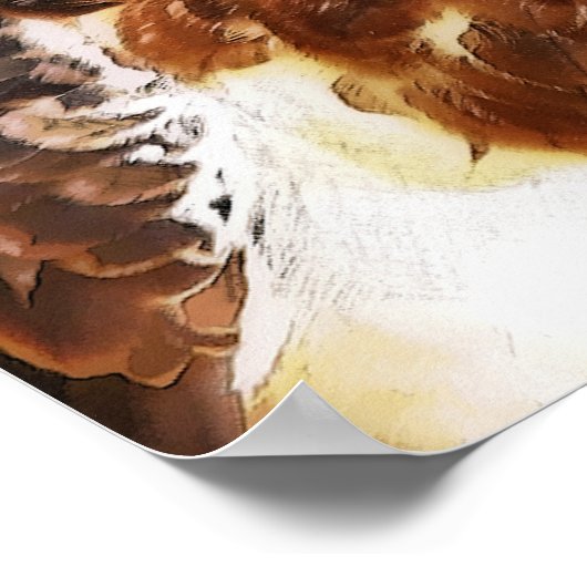 HAWK POSTER (Ecke)