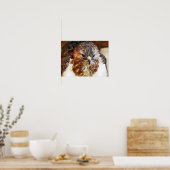 HAWK POSTER (Küche)