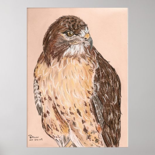 Hawk Poster (Vorne)