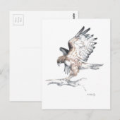 Hawk Postkarte (Vorne/Hinten)