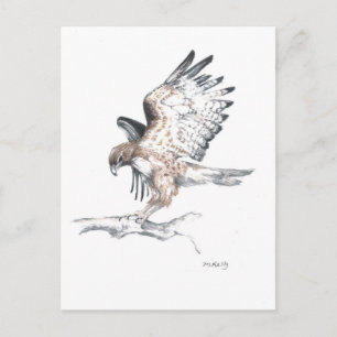 Hawk Postkarte