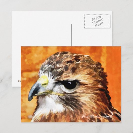 HAWK POSTKARTE (Vorne/Hinten)