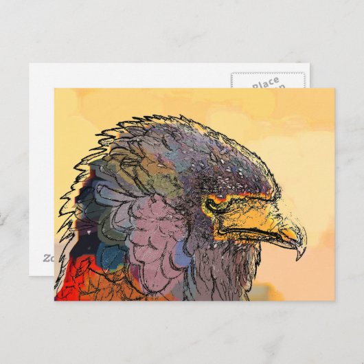 HAWK POSTKARTE (Vorne/Hinten)