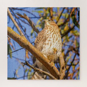 Hawk-Puzzle Wildtier-Raubvogel-Naturkunst Puzzle