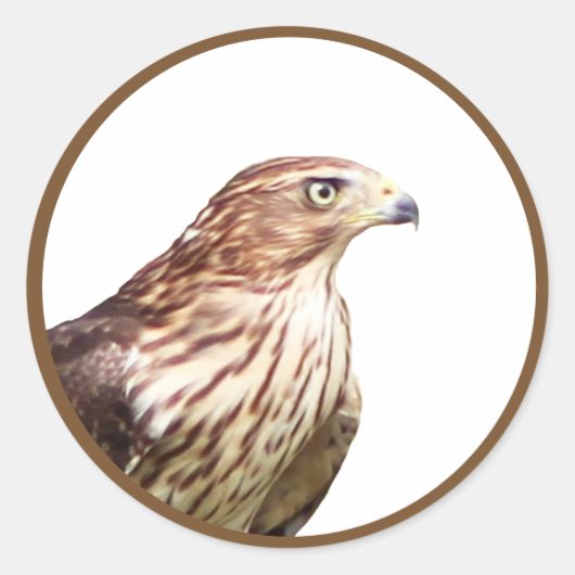 Hawk Runder Aufkleber (Vorderseite)