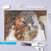 HAWK SEIDENPAPIER (Handwerk)