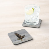 Hawk-Set von 6 harten Untersetzer aus Kunststoff (Rechte Seite)