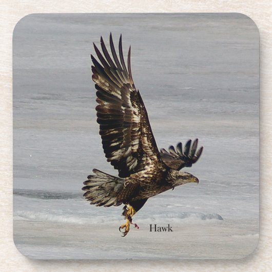 Hawk-Set von 6 harten Untersetzer aus Kunststoff (Vorderseite)