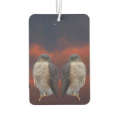 Hawk Sturm Autolufterfrischer (Rückseite)