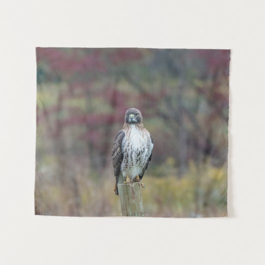 Hawk Tapestry Wandteppich (Vorderseite (Horizontal))