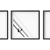 Hawk und Crow auf Powerlines Poster