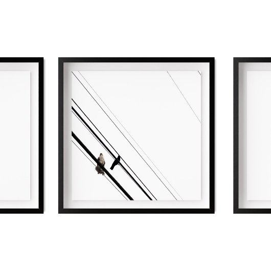 Hawk und Crow auf Powerlines Poster