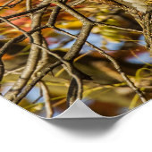 Hawk und Fall Foliage Poster (Ecke)