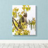 Hawk und Herz Leinwanddruck (Insitu (Holzboden))