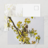 Hawk und Herz Postkarte (Vorne/Hinten)