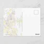 Hawk und Herz Postkarte (Rückseite)