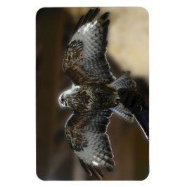 "Hawk with Wings Out Exmoore & Wildlife Sanctuary" Magnet