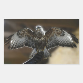 "Hawk with Wings Out Exmoore & Wildlife Sanctuary" Rechteckiger Aufkleber
