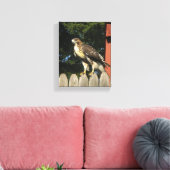 Hawk Wrapped Canvas Print Leinwanddruck (Insitu (Wohnzimmer))